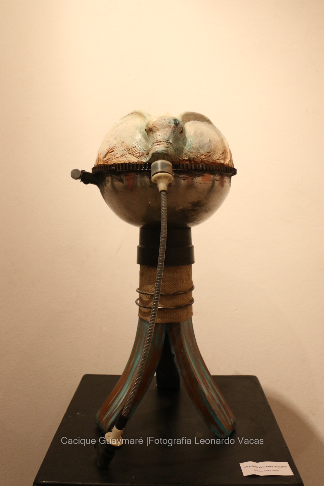 Arte y reciclaje (12)