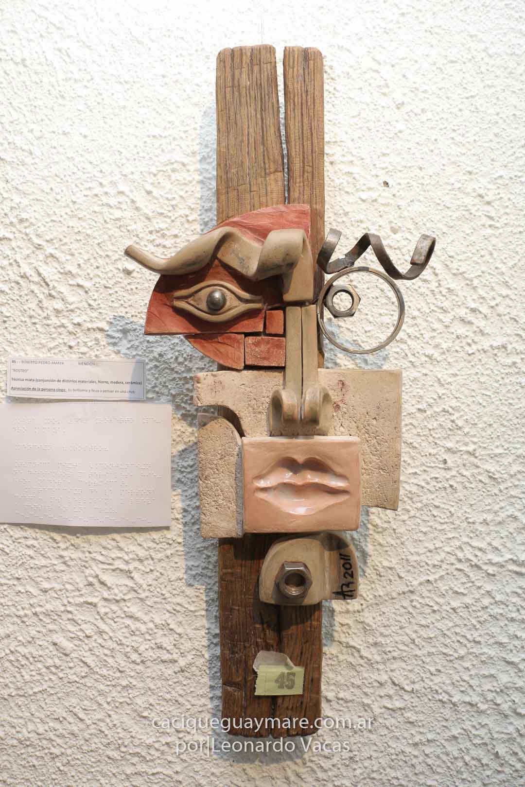 Muestra no vidente (11)