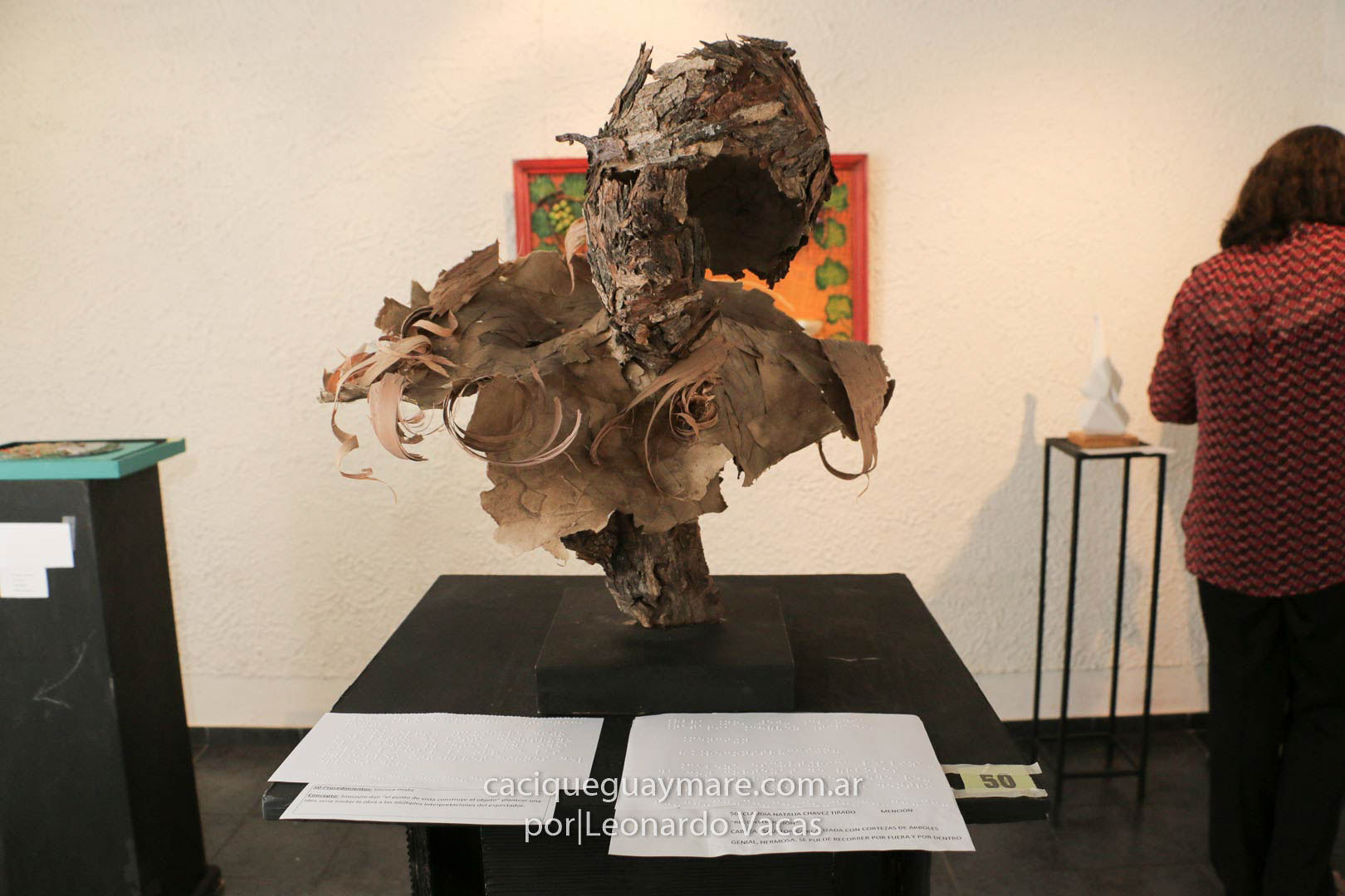 Muestra no vidente (8)